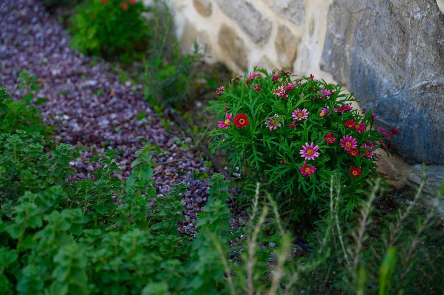 Physis Country House Near Matala Beach & Faistos Kouses Buitenkant foto